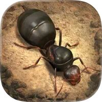 The Ants Underground Kingdom